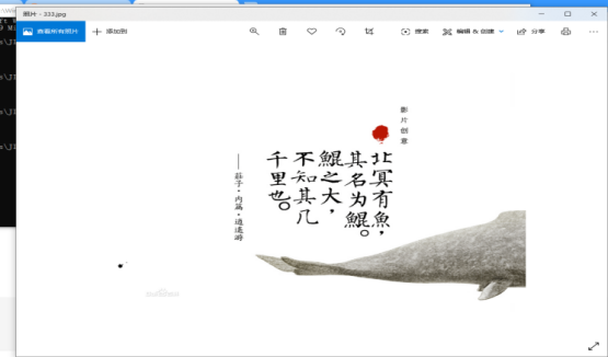 文档截图