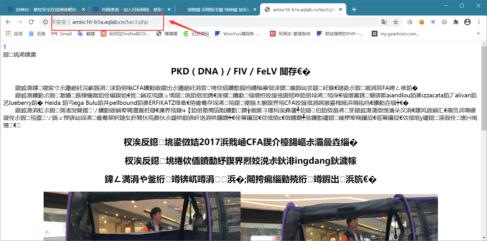 文档截图