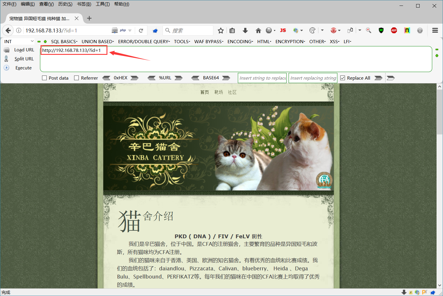 文档截图