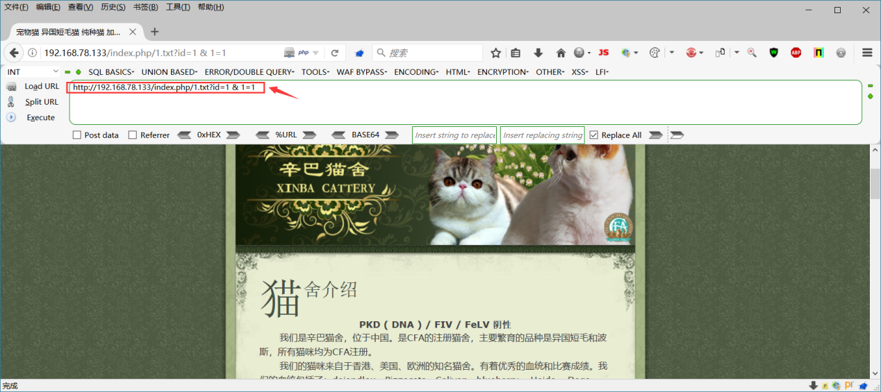 文档截图